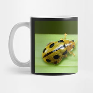 Unique and organic photo of a Yellow flea beetle Mug